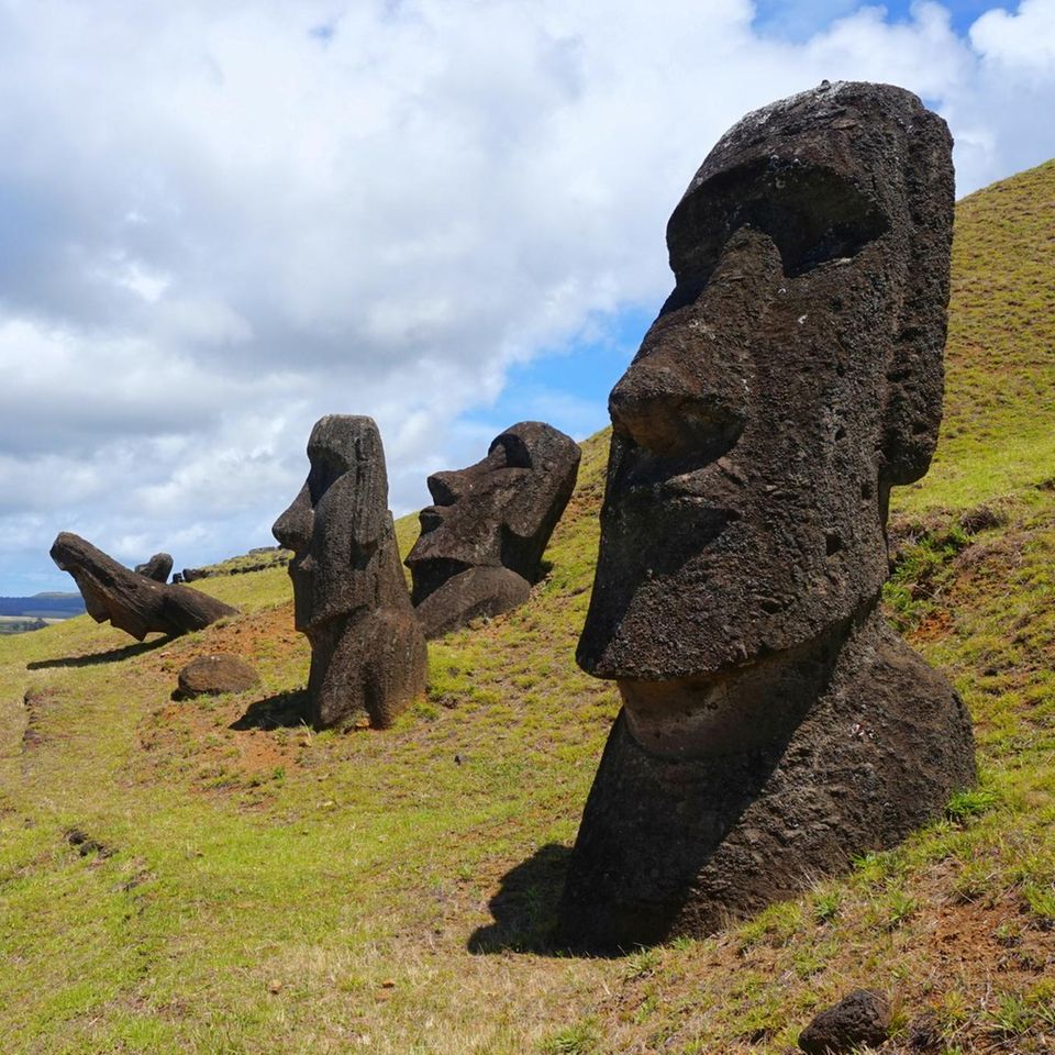 Steinerne Zeugen: Die riesigen Steinfiguren machten die Osterinsel weltberühmt. Sie liegt im Südpazifik, gehört politisch zu Chile, geographisch aber zu Polynesien