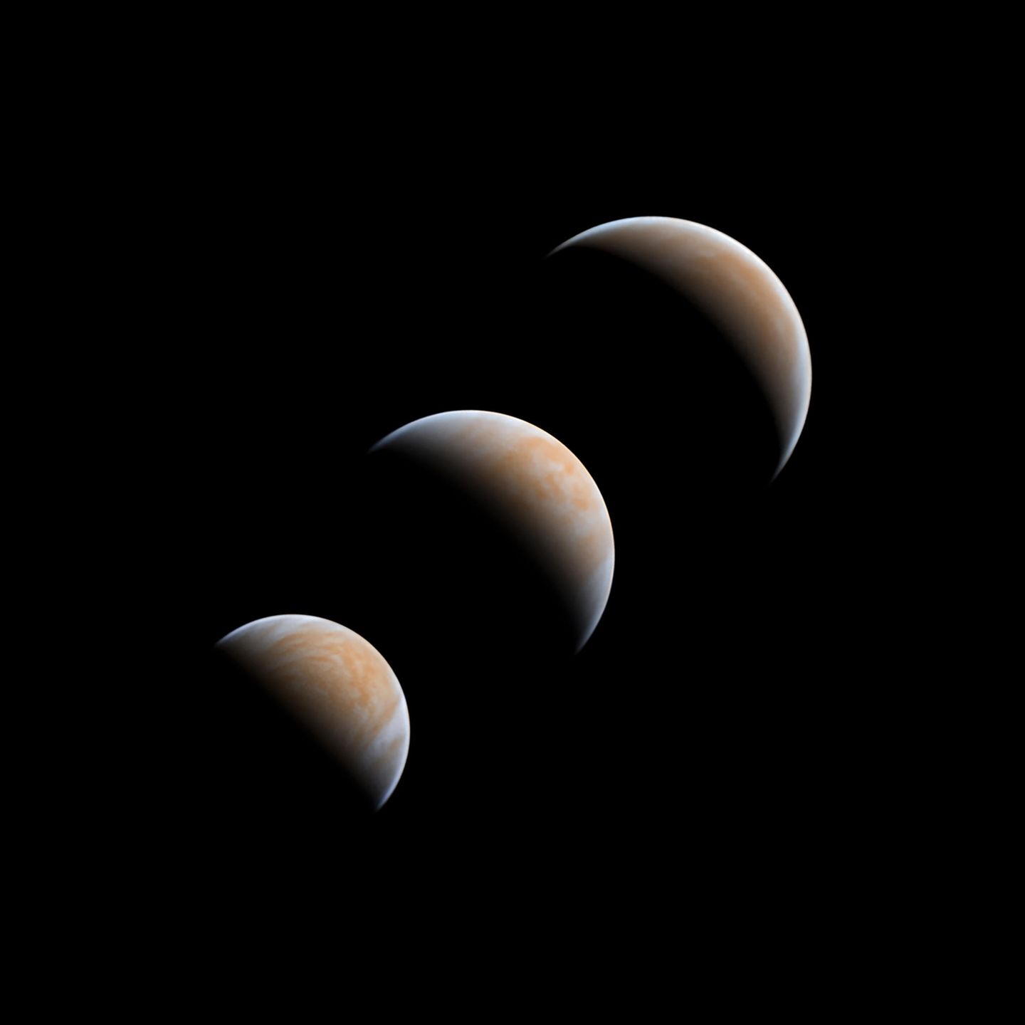 Unser wilder Nachbar Venus in verschiedenen Stadien