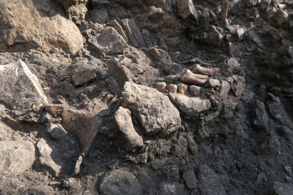 Neandertalerskelett in der Grotte Mandrin