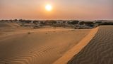 Thar-Wüste und Wanderdünen Thar-Wüste