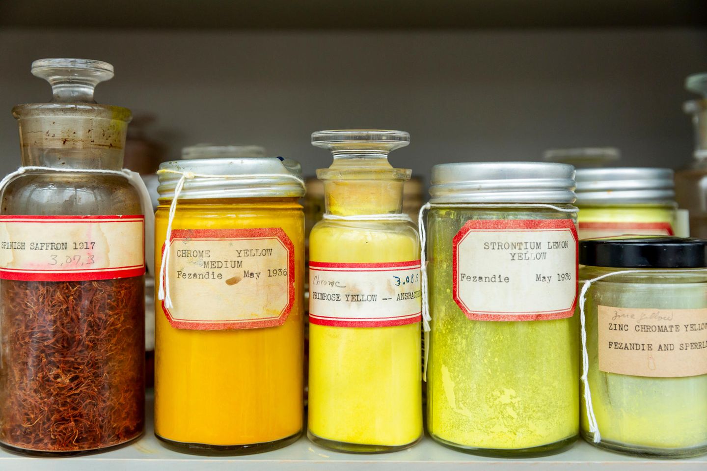 Safran: die heilige Farbe 2700 Pigmente stehen in der Forbes Pigment Collection am Straus Center for Conservation and Technical Studies. Sie sind nicht nur wunderschön anzusehen, sondern auch von unschätzbarem Wert für die Kuratorinnen und Restauratoren des Harvard Art Museums. Mithilfe der Pigmentsammlung können sie Kunstwerke datieren, Fälschungen entlarven oder alten Meistern zu neuem Glanz verhelfen. Im Fläschchen ganz links lagert Safran, lange Zeit eines der wertvollsten Materialien der Welt. Er besteht aus den getrockneten Griffeln des Safran-Krokus Crocus sativus. Der Griffel jeder Blüte verzweigt sich zu drei Narbenästen, die einmal im Jahr von Hand geerntet werden. Rund 100.000 Blüten liefern ein Kilogramm Safran. Seit Jahrtausenden wird die kultivierte Form als Farbstoff, Gewürz, Parfüm und Heilmittel eingesetzt. Wild wachsende Krokusse lieferten bereits vor 50.000 Jahren Farbe für Höhlenmalereien im heutigen Irak. Das warme Gelb-Orange ist in vielen Kulturen von großer spiritueller Bedeutung. Es schmückt beispielsweise die Roben vieler buddhistischer Mönche. Auch im Hinduismus gilt Safran als heilige Farbe. Ursprünglich sollte sie die Religion in der indischen Flagge repräsentieren. Später entschied sich Mahatma Ghandi für eine weltlichere Interpretation: Nun symbolisiert der safranfarbene Streifen Mut und Opferbereitschaft.