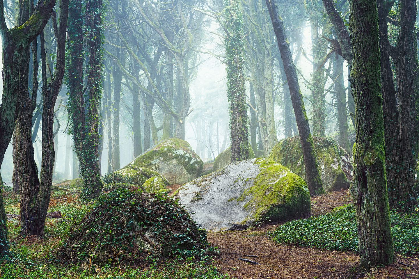 Serra de Sintra, Portugal Serra de Sintra, Portugal