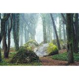 Serra de Sintra, Portugal