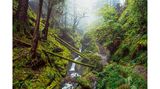 Puck’s Glen, Schottland