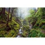 Puck’s Glen, Schottland