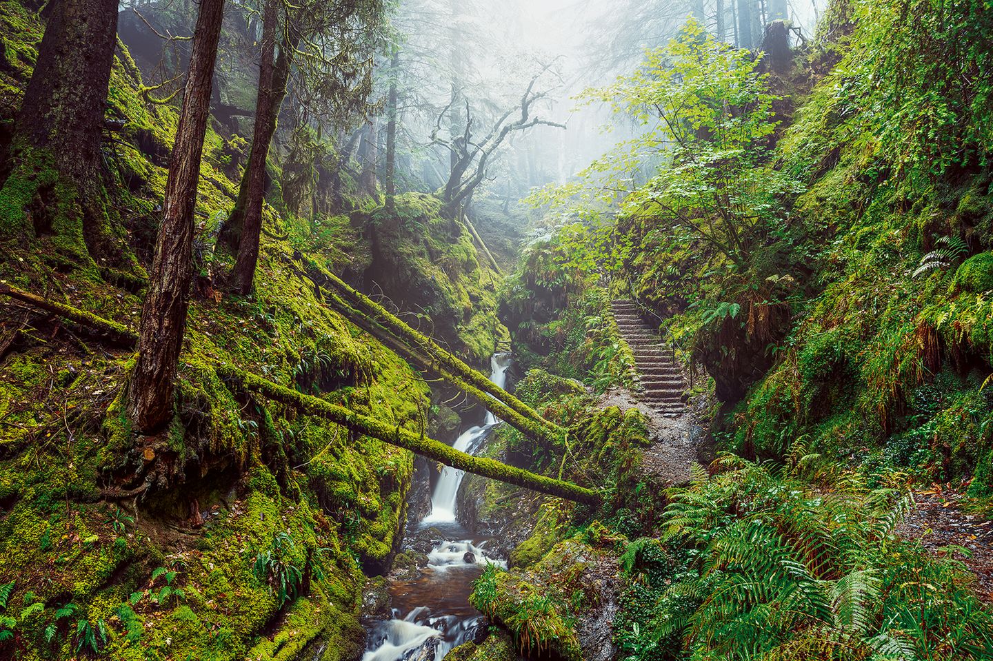 Puck’s Glen, Schottland