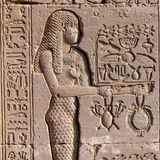 Seit Jahrtausenden konsumieren Menschen Psychedelika. Die Wirkstoffe aus Pflanzen, Pilzen, später auch im Labor hergestellt, rufen besondere Bewusstseinszustände hervor, verändern die Wahrnehmung der Welt, lösen die Grenzen des Selbst auf. In vielen Kulturen galten Trips als Pforte zur Welt der Geister und Götter. Im alten Ägypten, so vermuten Archäologen, waren psychoaktive Pilze als Geschenk des Gottes Osiris allein den Königen vorbehalten. Auf diesem Wandrelief am Tempel von Dendera wird ein Gefäß mit Pilzen als Gabe dargebracht.