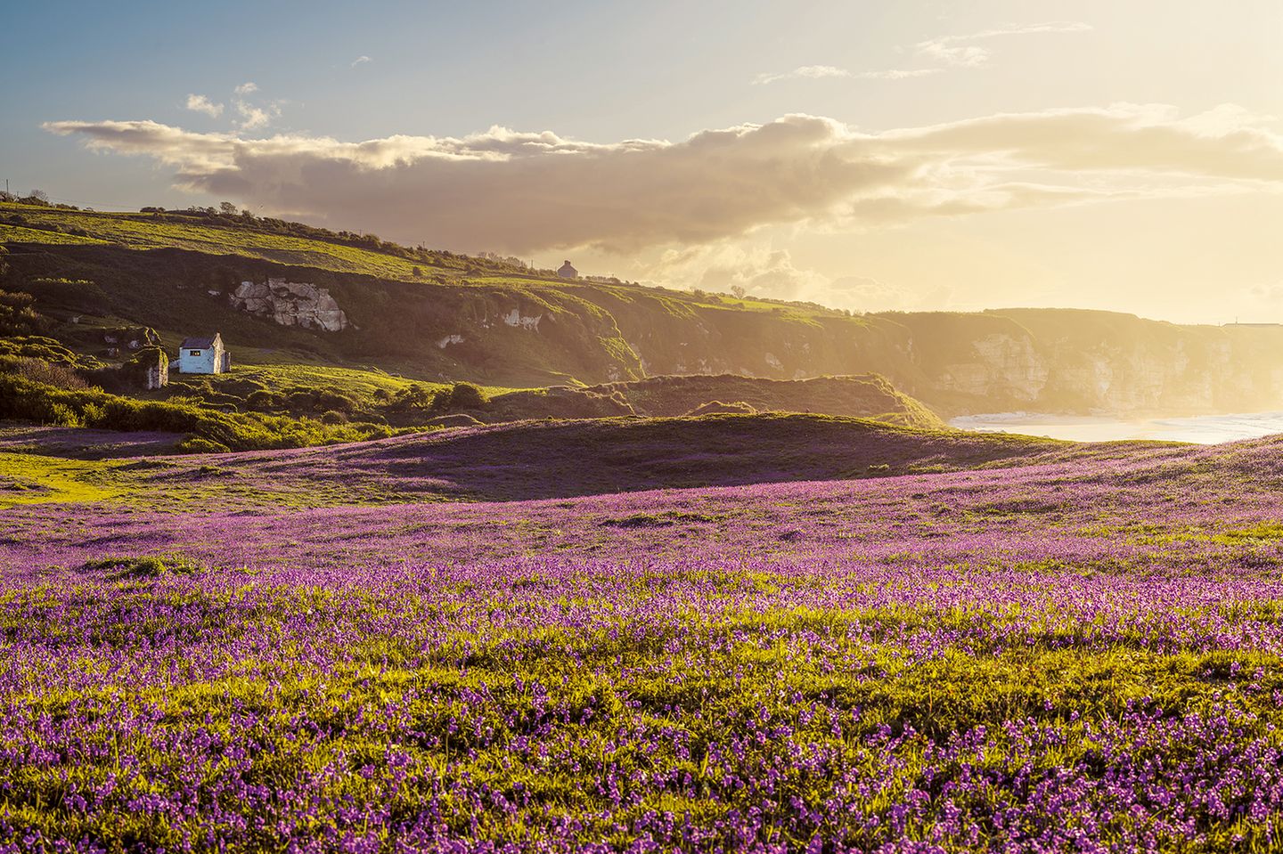 Ballycastle, Nordirland
