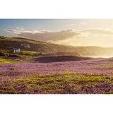 Ballycastle, Nordirland