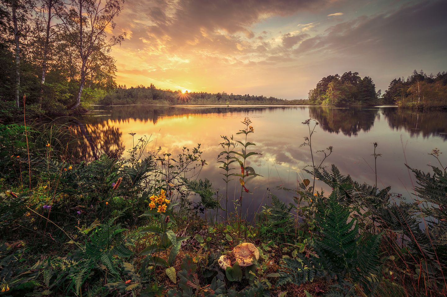 Hässleholm, Schweden  