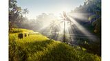 Reisterrassen auf Bali, Indonesien