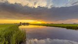Fluss mit Begrünung beim Sonnenuntergang