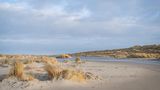 Dünen mit Gras und Meer