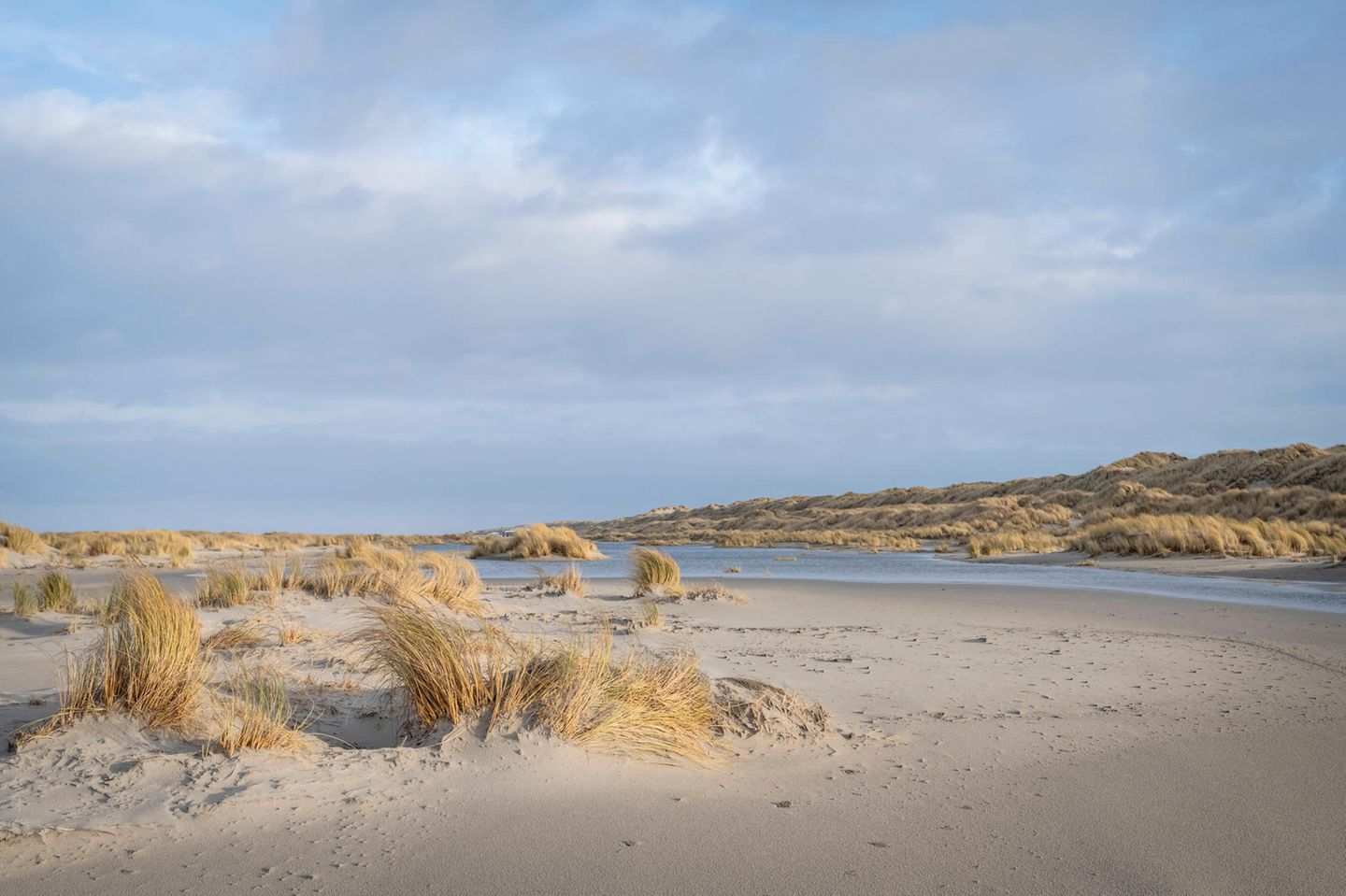 Dünen mit Gras und Meer
