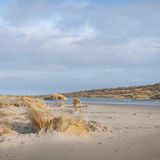 Dünen mit Gras und Meer