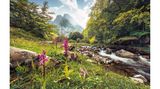 Wildblumen, Pyrenäen, Frankreich