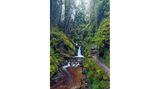 Puck’s Glen, Cowal, Schottland