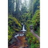Puck’s Glen, Cowal, Schottland