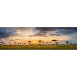 Masai Mara, Serengeti-Savanne, Kenia