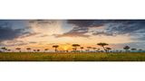 Masai Mara, Serengeti-Savanne, Kenia