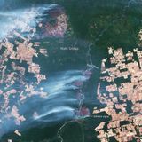 Satellitenaufnahme von Waldbränden in Brasilien