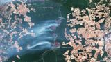 Satellitenaufnahme von Waldbränden in Brasilien