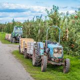 Traktoren vor vielen Apfelbäumen