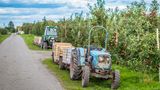 Traktoren vor vielen Apfelbäumen
