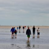 Wattwanderer im Pellworm