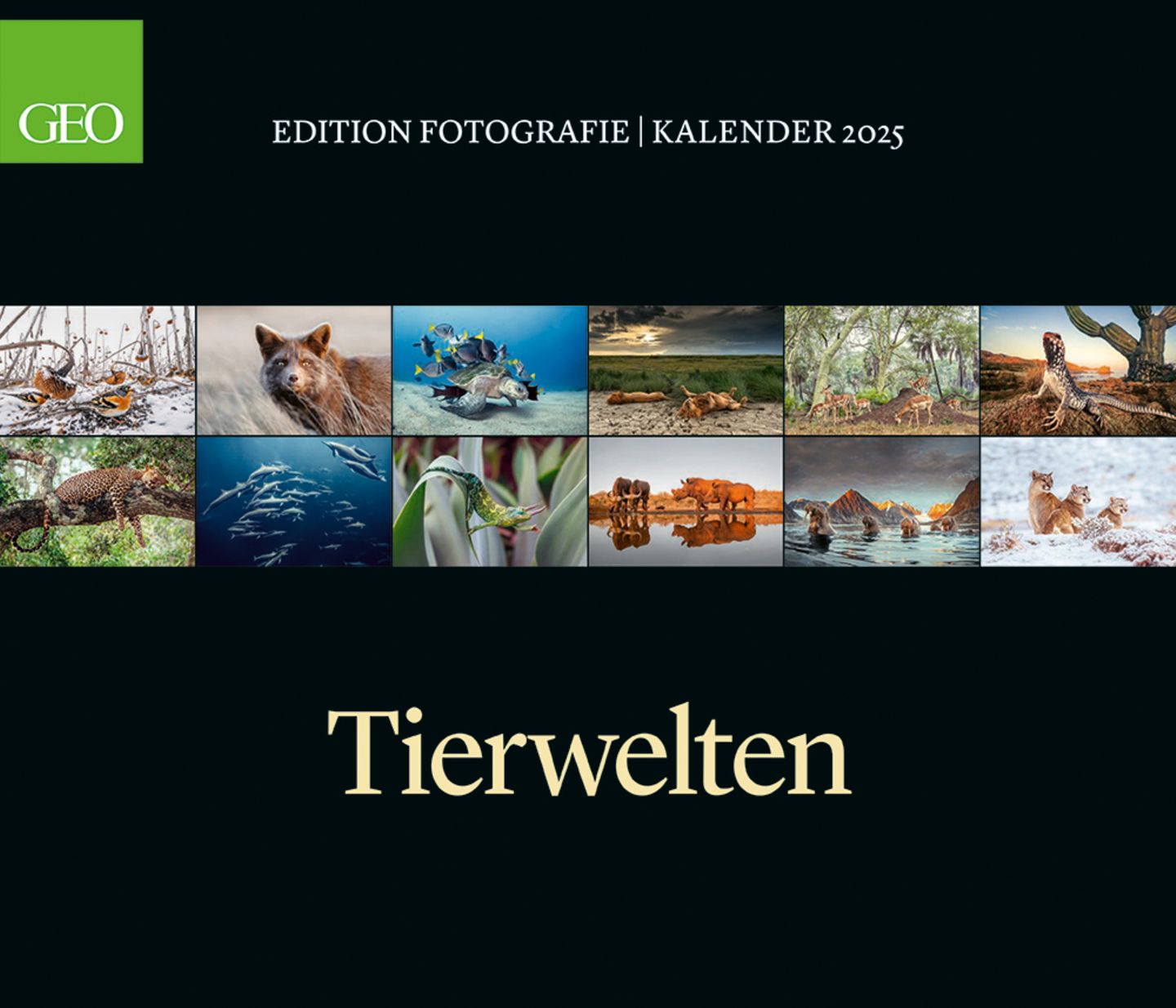GEO Kalender Tierwelten 2025