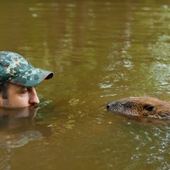 Zwei Jahre dauerte es, bis Christian Kutschenreiter und seine Frau Bettina das Vertrauen der Biber gewinnen konnten. Inzwischen verstehen sie die Tiere blind