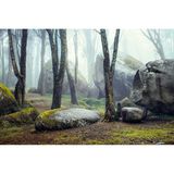 Felsen in der Nähe von Colares im Kreis Sintra in Portugal