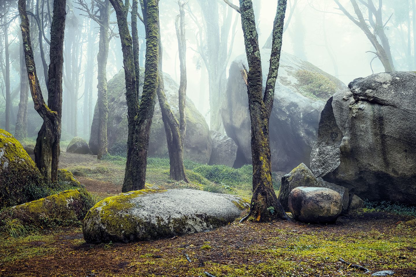 Felsen in der Nähe von Colares im Kreis Sintra in Portugal