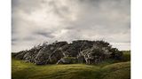 Vom Wind gebeugte Bäume in Slope Point, Catlins, Neuseeland