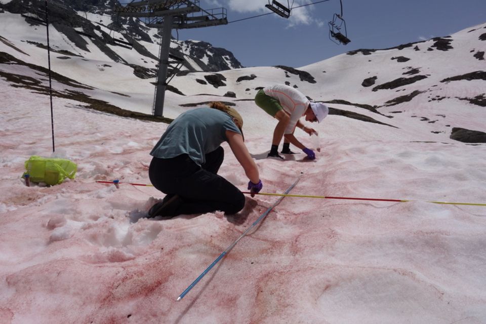 Forscher nehmen Proben einer Algenblüte in Vanoise, Frankreich