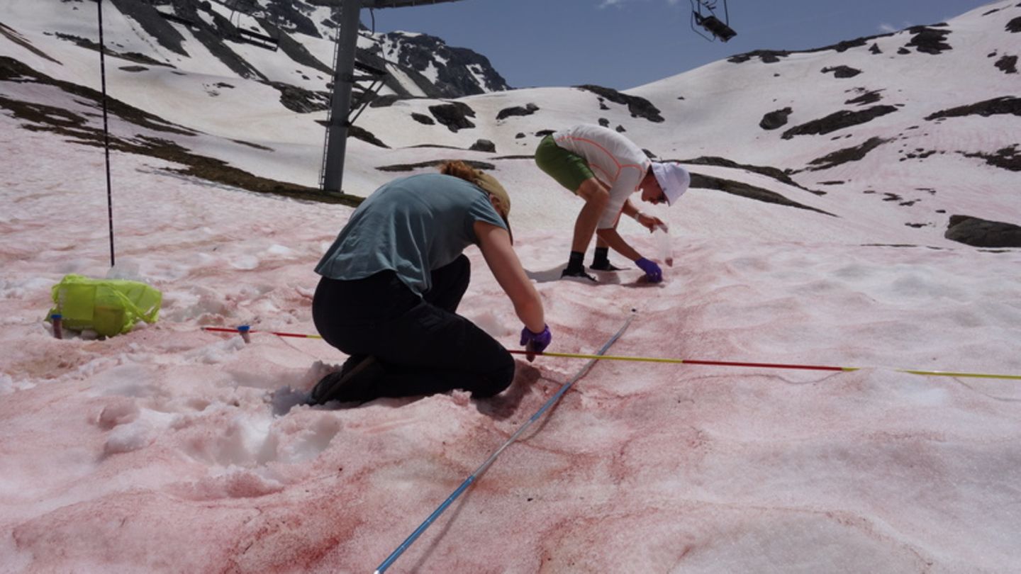 Forscher nehmen Proben einer Algenblüte in Vanoise, Frankreich