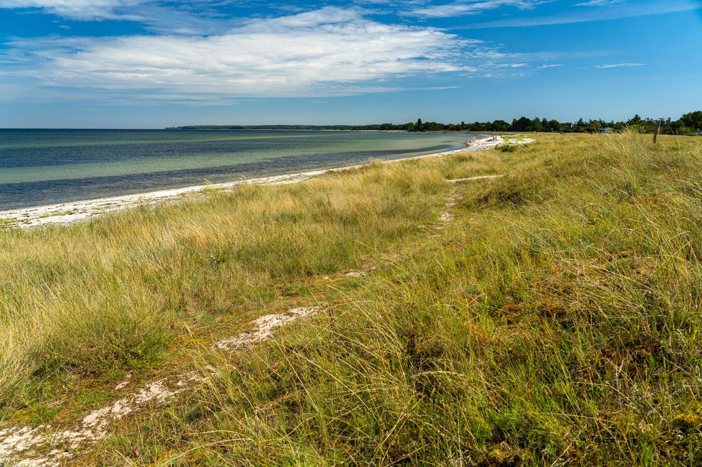 Ulvshale: zwischen Moor und Strand Strand von Ulvshale