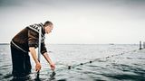 Garnelenfischer, der seine Netze im Meer ausstätschwillt