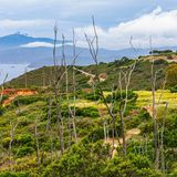 Hügel mit Minenanlagen und Förderturm, Gräser im Vordergrund