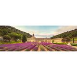 Abtei Sénanque, Provence, Frankreich