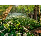 Otterbach, Rheinland-Pfalz