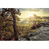 Pfälzerwald, Rheinland-Pfalz