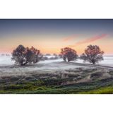 Elbtalaue, Niedersachsen