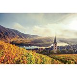 Moselschleife bei Bremm, Rheinland-Pfalz
