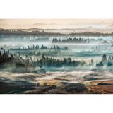 Winterlandschaft am Chiemsee