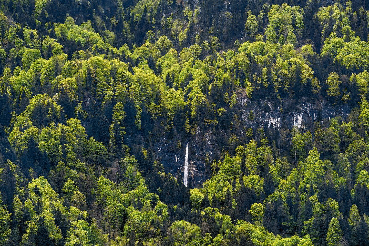 Schneeschmelze in den Chiemgauer Alpen Schoßrinn in den Chiemgauer Alpen