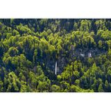 Schoßrinn in den Chiemgauer Alpen