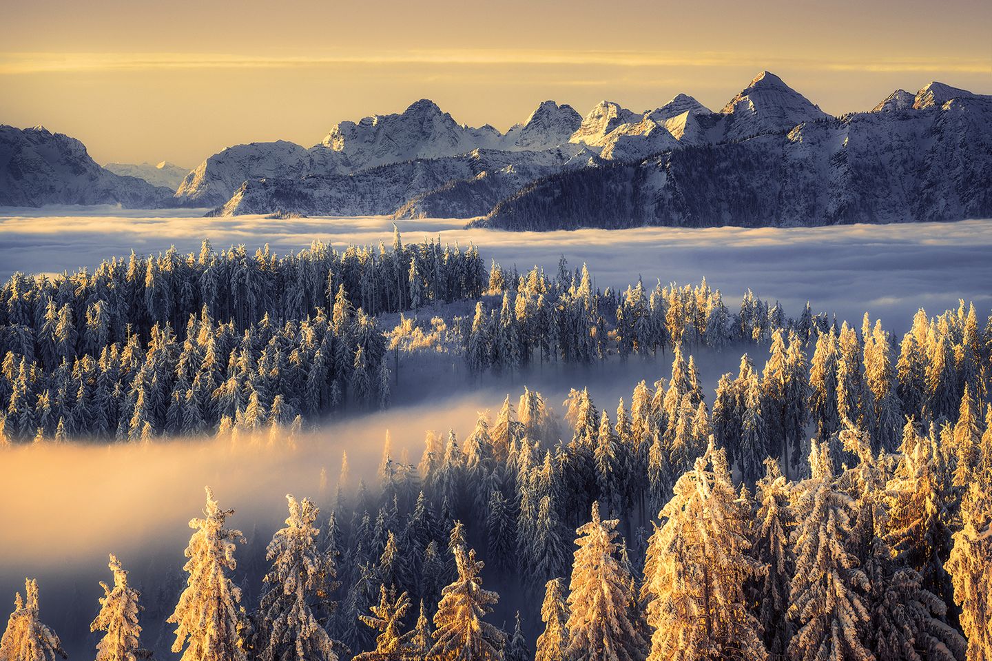Loferer Steinberge, Österreich Schneebedeckte Fichten mit Blick auf Loferer Steinberge, Österreich