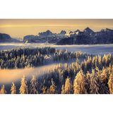 Schneebedeckte Fichten mit Blick auf Loferer Steinberge, Österreich