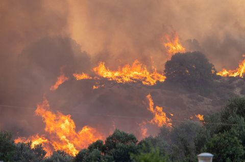 Nahe der Ortschaft Gennadi ist ein neuer Waldbrand ausgebrochen